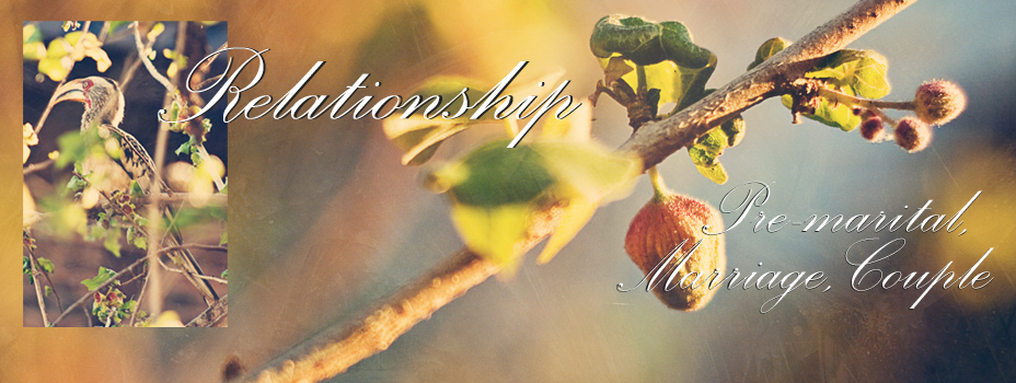 084 369 9113 :: lara@registeredcounsellor.co.za